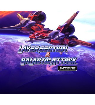 Layer Section & Galactic Attack S-Tribute Steam Key GLOBAL